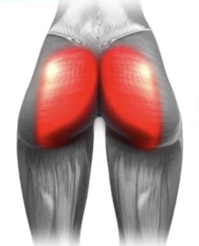 Glutes Workout